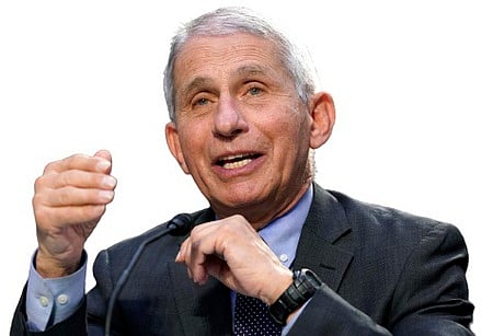 அந்தோணி ஃபாசி