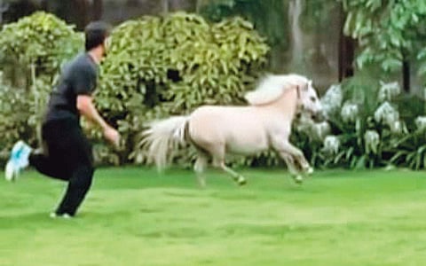 தோனியின் பொழுதுபோக்கு!