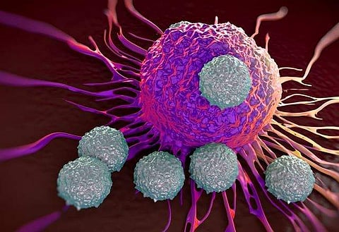 புற்றுநோயில் புதிய ஆய்வு: போர்வாளாக உடலின் நோயெதிர்ப்பு மண்டலம்!