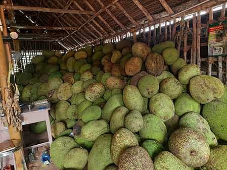 பண்ருட்டி பகுதியில் விற்பனைக்காக குவித்து வைக்கப்பட்டுள்ள பலாப் பழங்கள்.