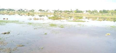 மானாமதுரை வைகை ஆற்றில் தேங்கியுள்ள தண்ணீர்