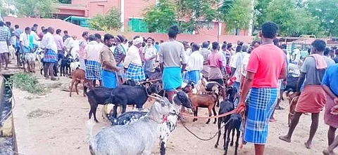 மானாமதுரையில் வியாழக்கிழமை நடந்த சந்தையில் ஆடி மாத பிறப்பை முன்னிட்டு வழக்கத்தைவிட கூடுதலாக ஆடுகள் விற்பனைக்கு கொண்டு வரப்பட்டன.