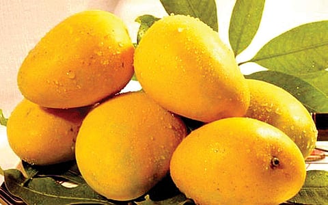 மாம்பழமும் - சுவையும் !