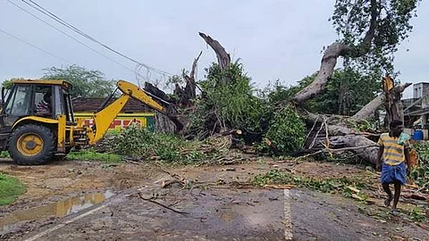 திருத்தணியில் வெள்ளிக்கிழமை மாலை பலத்த காற்றுடன் பெய்த மழைக்கு வேருடன் சாய்ந்த 100 ஆண்டுகள் பழமை வாய்ந்த ஆல மரம்.