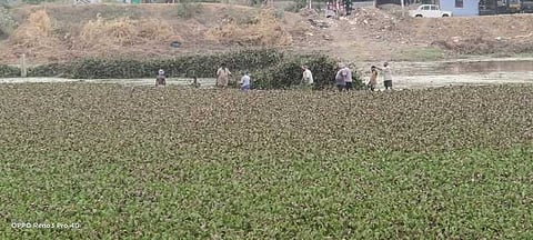 ஸ்ரீவில்லிபுத்தூா் ஆண்டாள் கோயிலுக்கு சொந்தமான திருப்பாற்கடல் குளத்தில் திங்கள்கிழமை நடைபெற்ற ஆகாயத் தாமரைகளை அகற்றும் பணி.