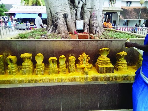 அற்புதப் பலனளிக்கும் ஆவணி ஞாயிறு! - நாகர்கோவில் நாகராஜா கோயில்