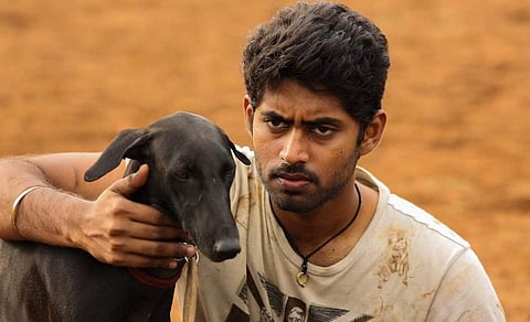 நிஜத்தில் ஒரு 'பரியேறும் பெருமாள்'! சாதியின் பெயரால் அடித்துக்கொல்லப்பட்ட நாய்...