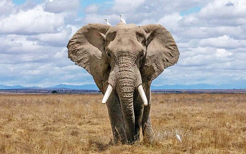 வாழ்நாள் எழுபது ஆண்டுகள்