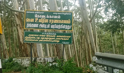 கொடைக்கானலுக்கு ஹெலிகாப்டா் சேவை: அரசின் அறிவிப்பு சாத்தியமாவதில் சிக்கல்