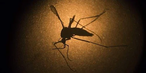 உத்தரப் பிரதேசம் : உயரும் டெங்கு பலி எண்ணிக்கை