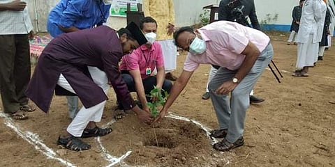 கம்பம் அதாயி அரபிக் கல்லூரி வளாகத்தில் மூலிகை செடிகள் மற்றும் மரக்கன்றுகள் நடப்பட்டது.