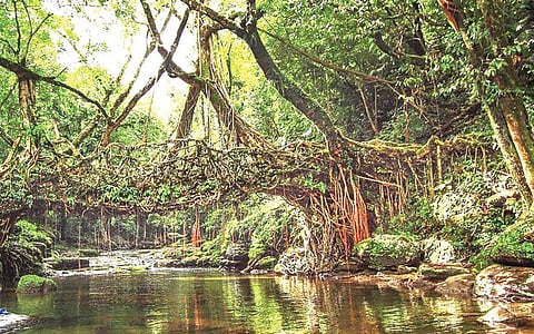 கருவூலம்: மேகாலயா மாநிலம் பற்றி தெரிந்து கொள்வோமா?