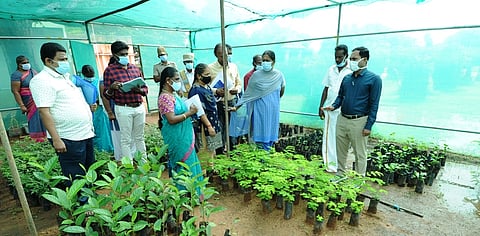 சிவகங்கை மாவட்டம், செம்பனூரில் தேசிய ஊரக வேலை உறுதித் திட்டத்தின் கீழ் மரக்கன்றுகள் வளா்க்கும் பசுமைக் குடிலை வெள்ளிக்கிழமை ஆய்வு செய்த சிவகங்கை மாவட்ட ஆட்சியா் பி. மதுசூதன் ரெட்டி.