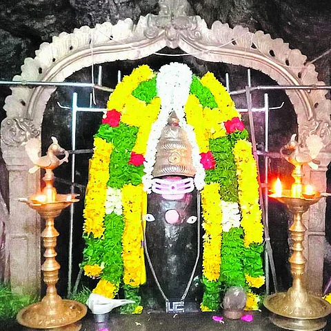 தானாய் வந்து தண்ணருள் புரிபவர்!