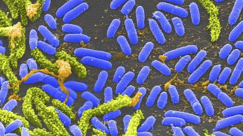 கோப்புப்படம்