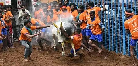 அவனியாபுரம் ஜல்லிக்கட்டு தொடங்கியது