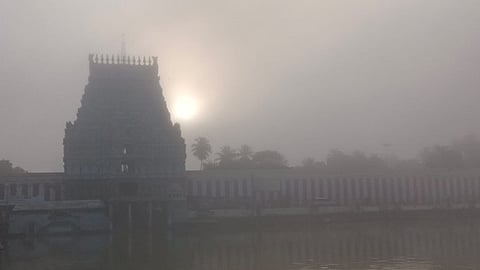 திருவாரூரில் பனி: வாகன ஓட்டிகள் செல்வதில் சிரமம்