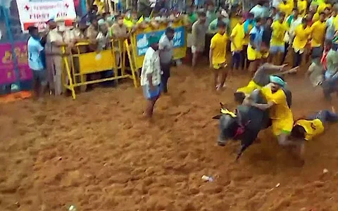 கோலாகலமாக நடைபெற்ற பாலமேடு ஜல்லிக்கட்டு - புகைப்படங்கள்