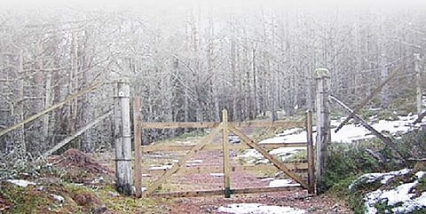 ஆக்கிரமிப்பாளர்களிடமிருந்து மீட்கப்படாத காப்புக் காடுகள்!