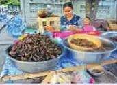 சிங்கப்பூா்: பூச்சிகளை உட்கொள்ள விரைவில் அனுமதி?