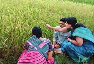 தமிழகத்தின் பாரம்பரிய நெல் ரகங்களை மீட்கும் முயற்சியில் 'ஸ்ரீ'!