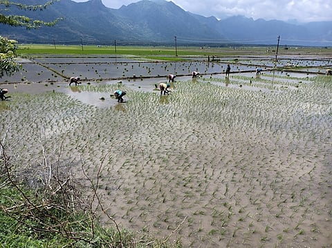 ஆண்டாள் கோயிலின் 819 ஏக்கா் நிலம் அளவீடு