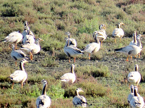 கோப்புப் படம்
