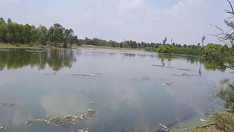 பிரதாபராமபுரம் ஊராட்சியில் விளைநிலங்களில் உள்புகுந்த கடல்நீா்.