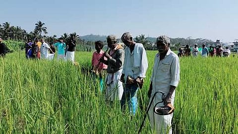 பழங்குடி மக்களின் பாரம்பரிய புத்தரி திருவிழா