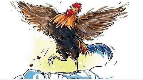 மாதிரிப் படம்