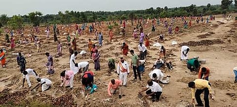 5 மணி நேரத்தில் 50 லட்சம் பனை விதை நடும் சாதனை!