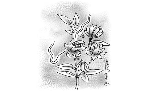 செண்பகம்: வண்டுணா மலரன்று