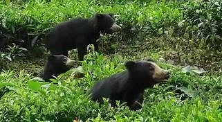 கோப்புப் படம்