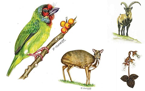 அடுத்த தலைமுறைக்கு...