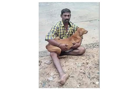 எஜமானரை காப்பாற்ற நினைத்து மின்வேலியை மிதித்து உயிரைவிட்ட 5 நாய்கள்: எஜமானரும் பலி