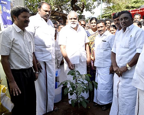 தேனி மாவட்ட வேளாண்மை உற்பத்தியாளா்கள் கூட்டுறவு விற்பனை சங்க வளாகத்தில் திங்கள்கிழமை மரக் கன்றை நட்டு வைத்த கூட்டுறவுத் துறை அமைச்சா் ஐ.பெரியசாமி.