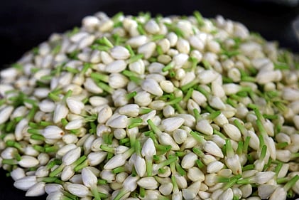 ஏலத்திற்கு கொண்டு வரப்பட்டிருந்த குண்டு மல்லிகை.