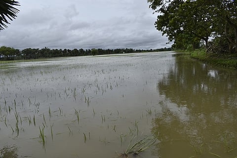 திருவெண்காடு அருகே ஆற்றங்கரையில் உடைப்பு: 500 ஏக்கா் பாதிப்பு
