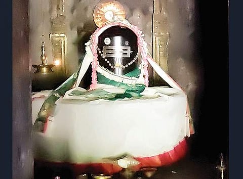 சுகமாய் வாழ அருளும் சிவன்