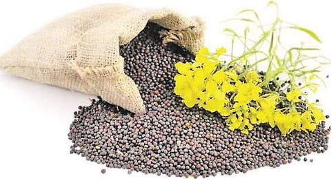 கோப்புப்படம்