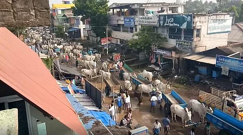 மாட்டு வண்டியில் மணல் அள்ள அனுமதிக்கோரி மாட்டுவண்டி தொழிலாளர்கள் சாலை மறியல்!