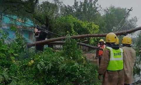 ராணிப்பேட்டை மாவட்டத்தில் சாலையில் விழுந்த மரங்களை அகற்றும் பணியில் தீயணைப்புத் துறையினர் தீவிரம்.