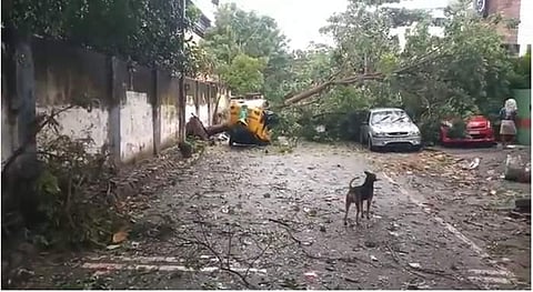 சென்னை கொளத்தூர் அடுத்த பெரியார் நகர் ஜிகேஎம் காலனி பகுதியில் 13 ஆவது தெருவில் ராட்சத மரம் முறிந்து விழுந்ததில் முழுமையாக சேதம் அடைந்த ஆட்டோ.