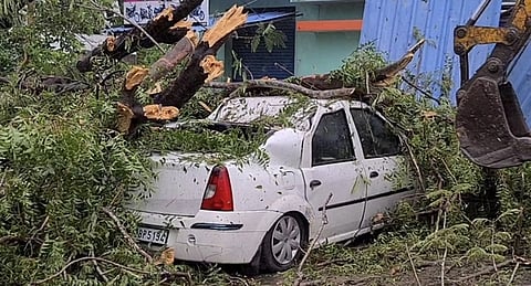 வந்தவாசியை அடுத்த சென்னாவரத்தில் மரம் விழுந்ததால் சேதமடைந்த காா்.