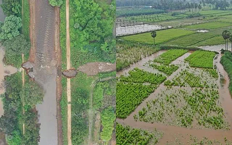 பெருந்துறை அருகே வாய்க்கால் உடைப்பு: 800 ஏக்கருக்கு மேல் விவசாய நிலங்கள் பாதிப்பு!