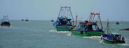 நாகை துறைமுகத்திலிருந்து ஞாயிற்றுக்கிழமை காலை கடலுக்குச் சென்ற விசைப்படகுகள்.