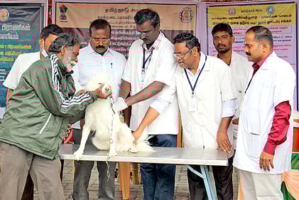 pv10p1_1012chn_157_8