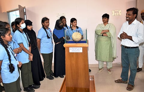 அரியலூா் மாவட்டம், வாரணவாசி அருங்காட்சியகத்தை வியாழக்கிழமை பாா்வையிட்ட கும்பகோணம் தாமரை பன்னாட்டுப் பள்ளி மாணவா்கள். உடன், ஆட்சியா் பெ. ரமணசரஸ்வதி, காப்பாட்சியா் சிவக்குமாா்.