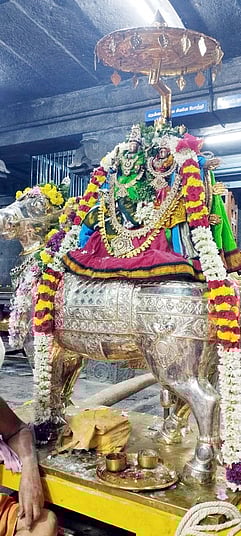 வெள்ளி ரிஷப வாகனத்தில்....