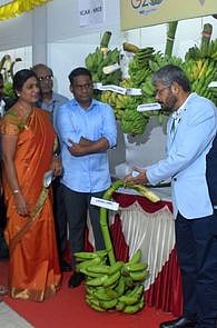 திருச்சியில் புதன்கிழமை தொடங்கிய கண்காட்சியில் வாழைகளை பாா்வையிடும் (வலமிருந்து) தேசிய வாழை ஆராய்ச்சி மைய இயக்குநா் ஆா். செல்வராஜன், வேளாண் மற்றும் பதப்படுத்தப்பட்ட உணவுப் பொருள்கள் ஏற்றுமதி